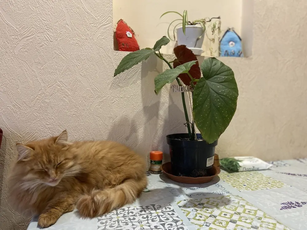 Сумы дом для пожилых людей